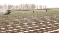 �½����޼�ľ��ͨ�¶���������ֲæ �����¸�������