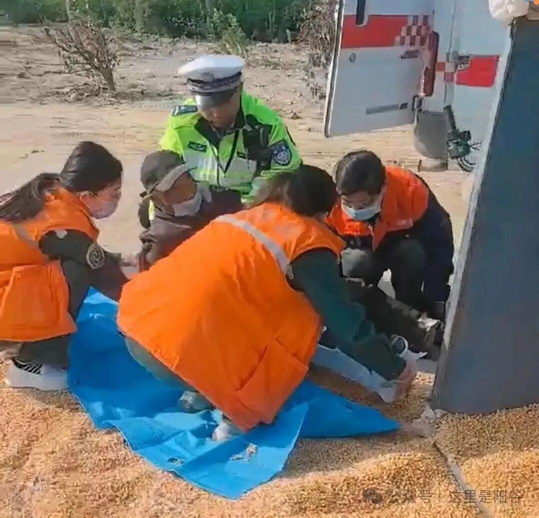 ͼƬ